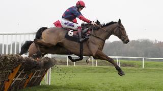 Tony Calvin expects Elgin to go close in the Greatwood Hurdle at Cheltenham on Sunday